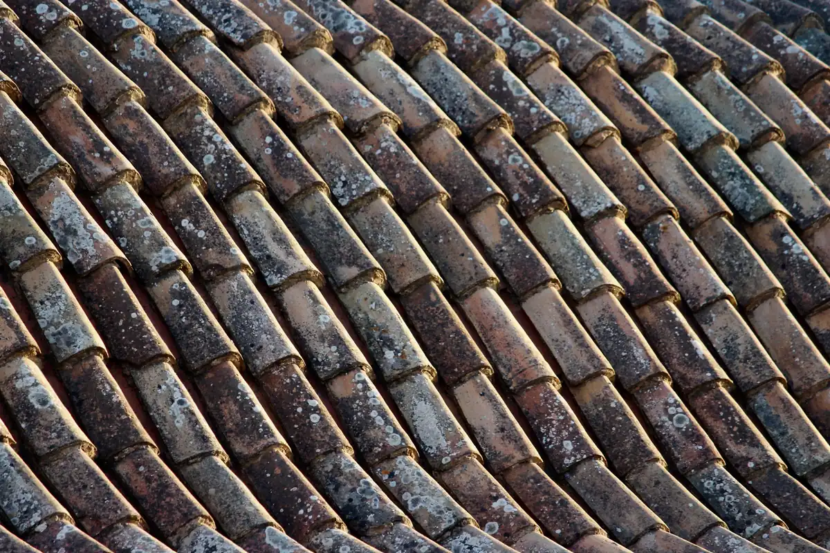 Barrel tile roof darkened by algae and lichen streaks
