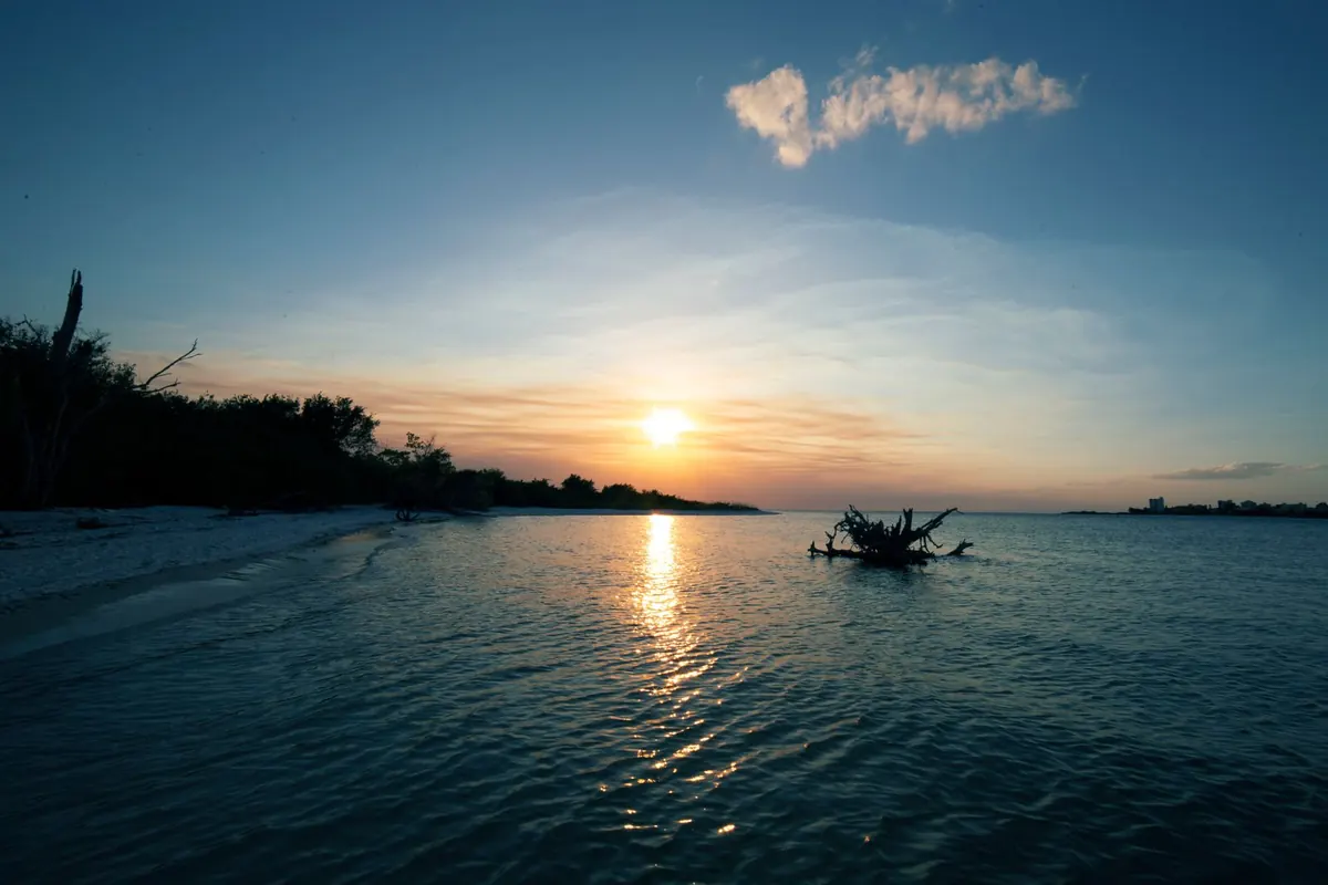 Sunset over calm water with a low mangrove shoreline